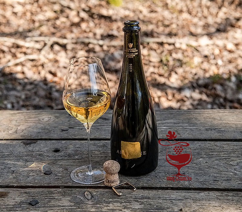 vang-chuan-vn-cac-loai-ruou-vang-vang-sui-champagne