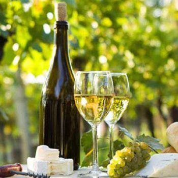 TÌM HIỂU RƯỢU VANG TRẮNG